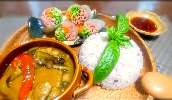 野菜たっぷりグリーンカレー🍛

  野菜いっぱい生春巻✴️|びせんさん