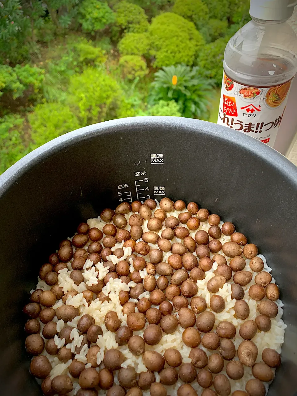 Snapdishの料理写真:これうまつゆ炊き込み むかご|シュトママさん