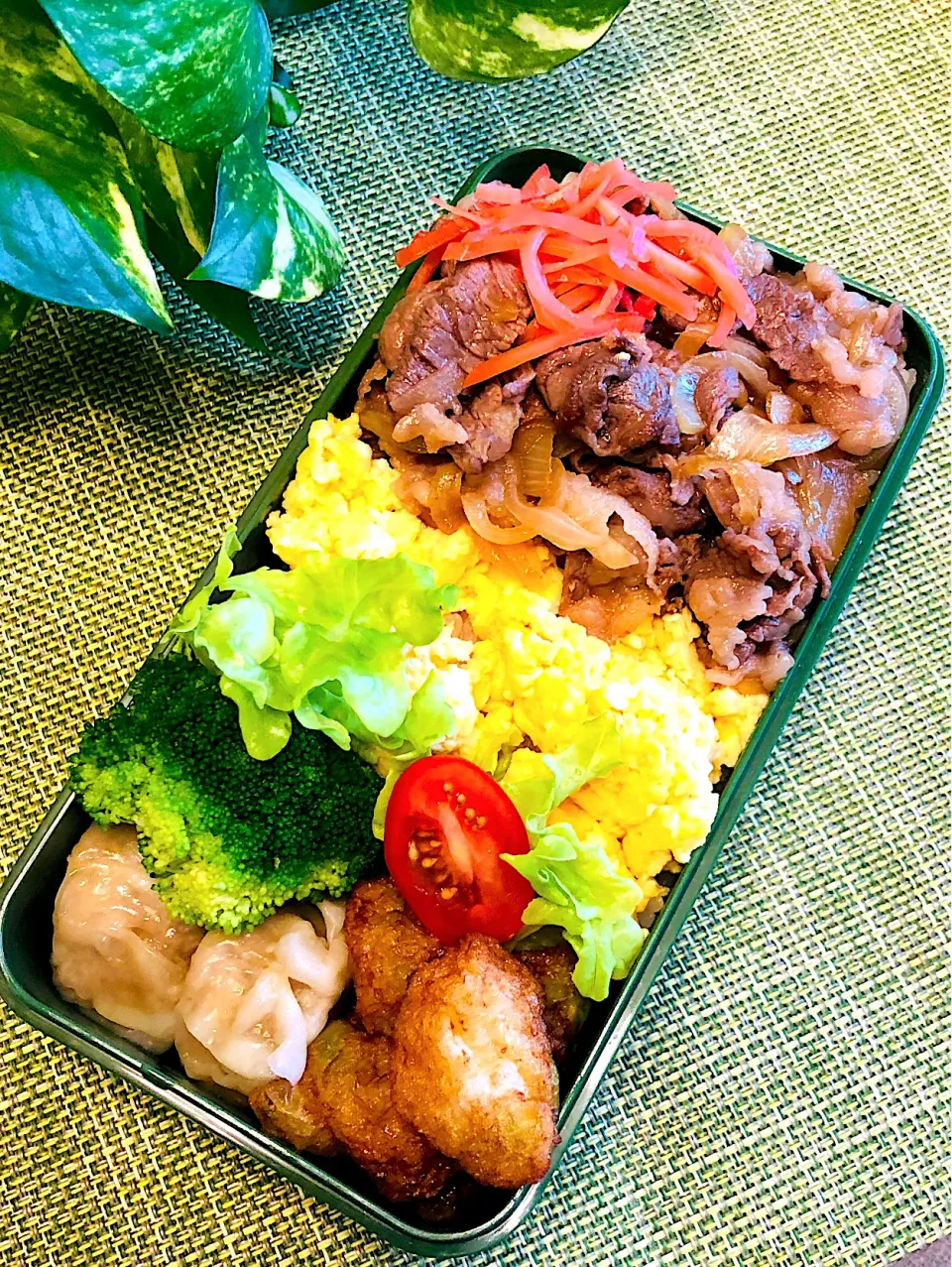 牛丼のお弁当|＊ayabianさん