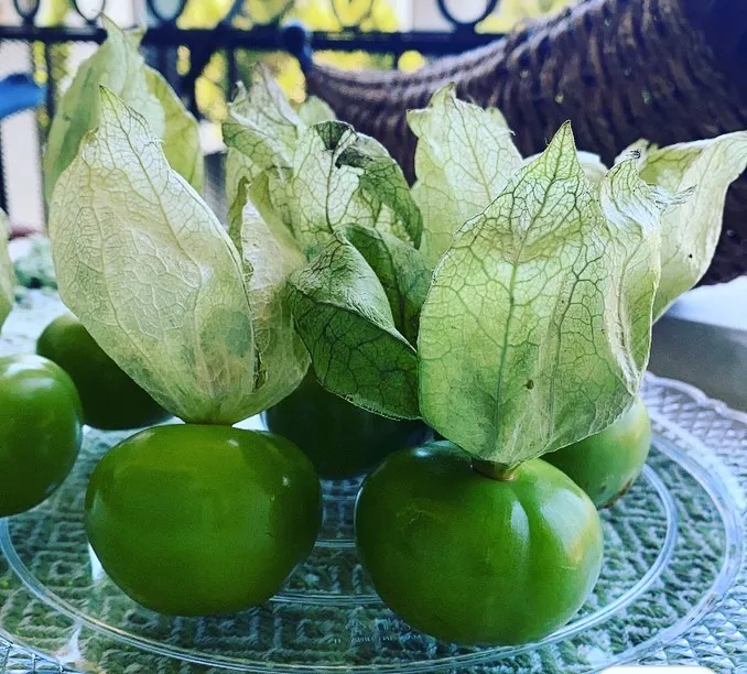 “Green Tomatillos”🤩|Nubian Queenさん