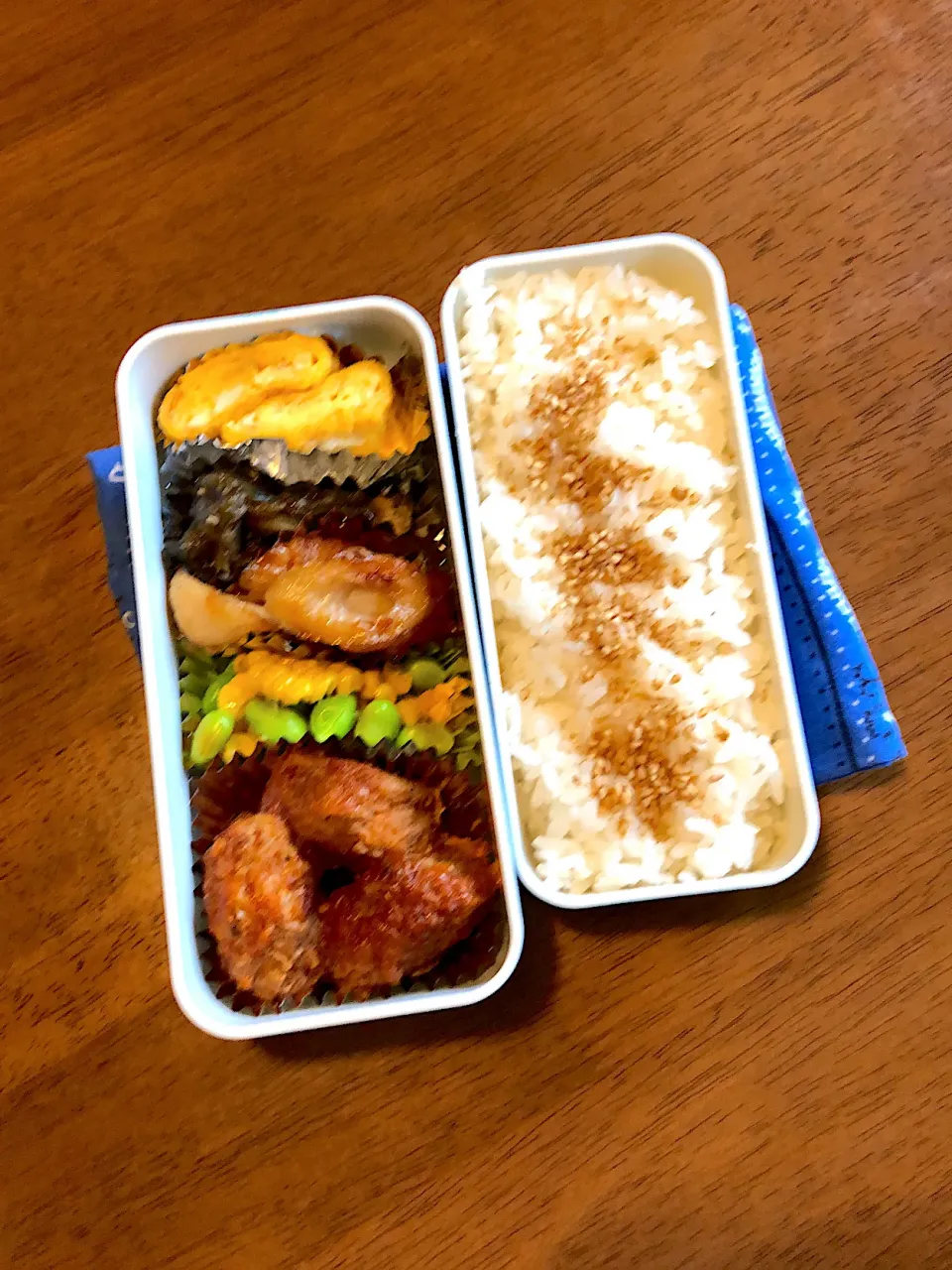 Snapdishの料理写真:7/15のお弁当|るりさん