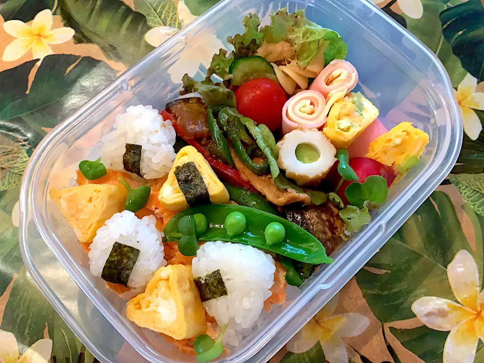 タッパー弁当|ぽぽんさん