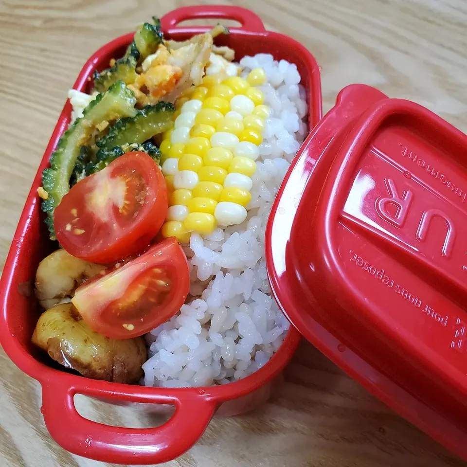 今日は夏野菜のお弁当🍱|Maho Sanoさん