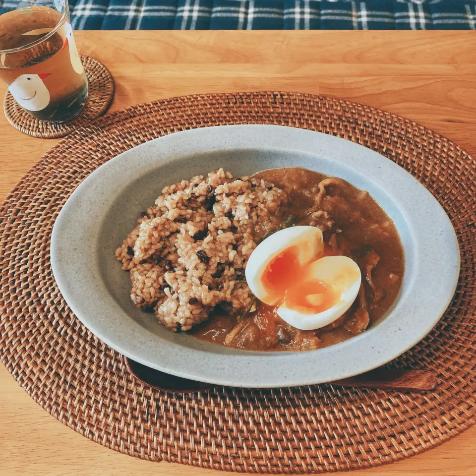 寝かせ玄米と和風カレー|もこもこさん