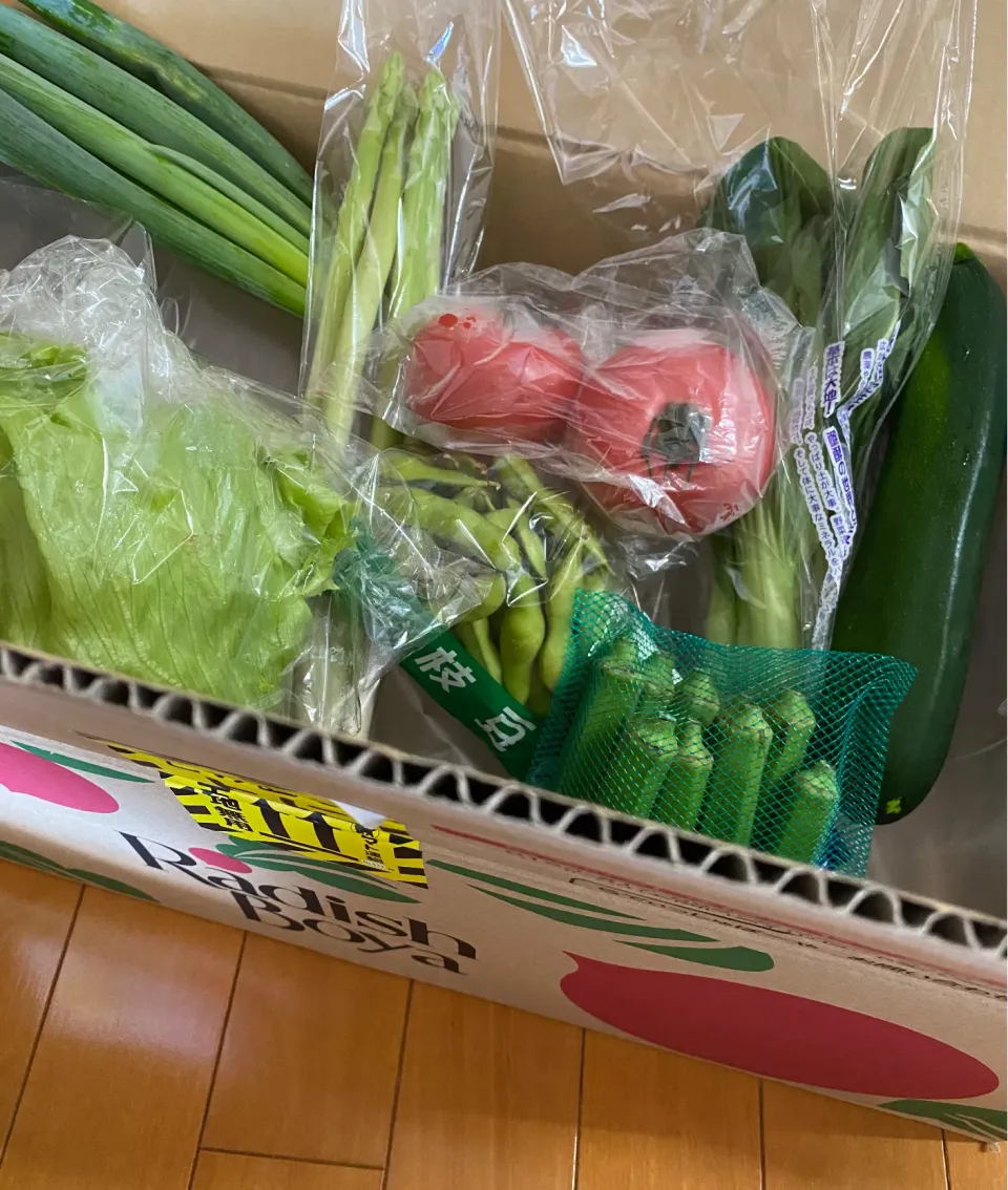 らでぃっしゅぼーやのお野菜|naho_nonaさん