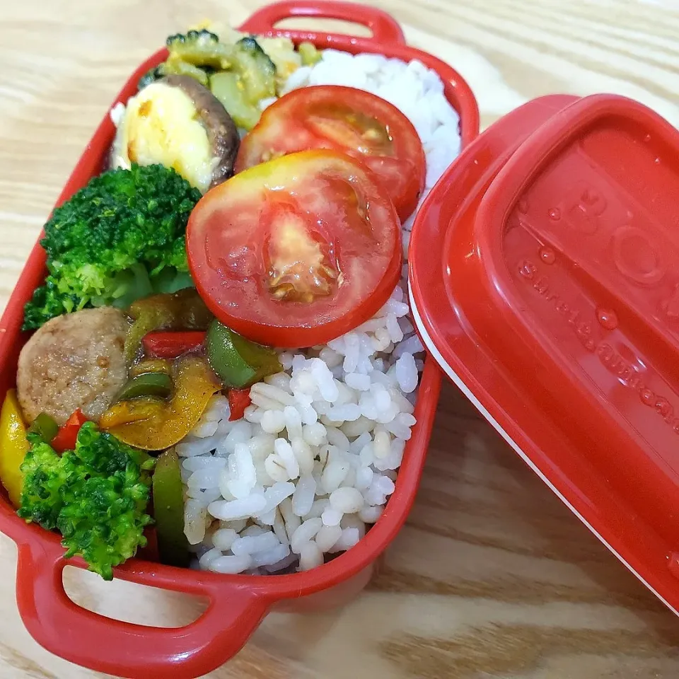 Snapdishの料理写真:今日のお弁当🍱|Maho Sanoさん