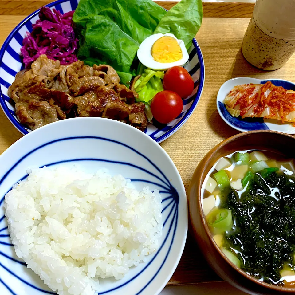 Snapdishの料理写真:夜は、国民食　生姜焼き✨|たまにゃんさん