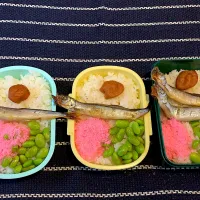 メイのお弁当|usuiさん