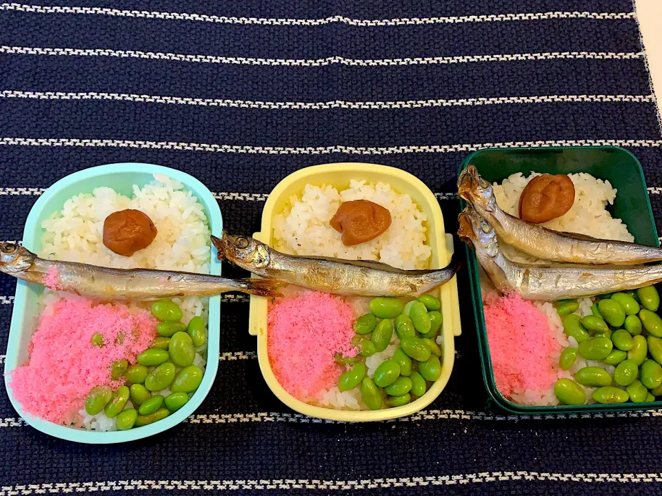 メイのお弁当|usuiさん