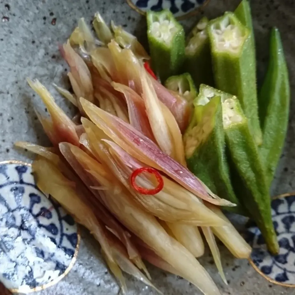 今朝漬けた茗荷とオクラの浅漬け|とだともさん