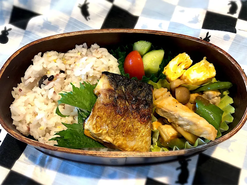 サラ弁　　　　　　　　　　　　　　　　　塩サバ　豚ロース肉としめじの甘辛煮　卵焼き　胡瓜とトマトの甘酢|じゅんさんさん