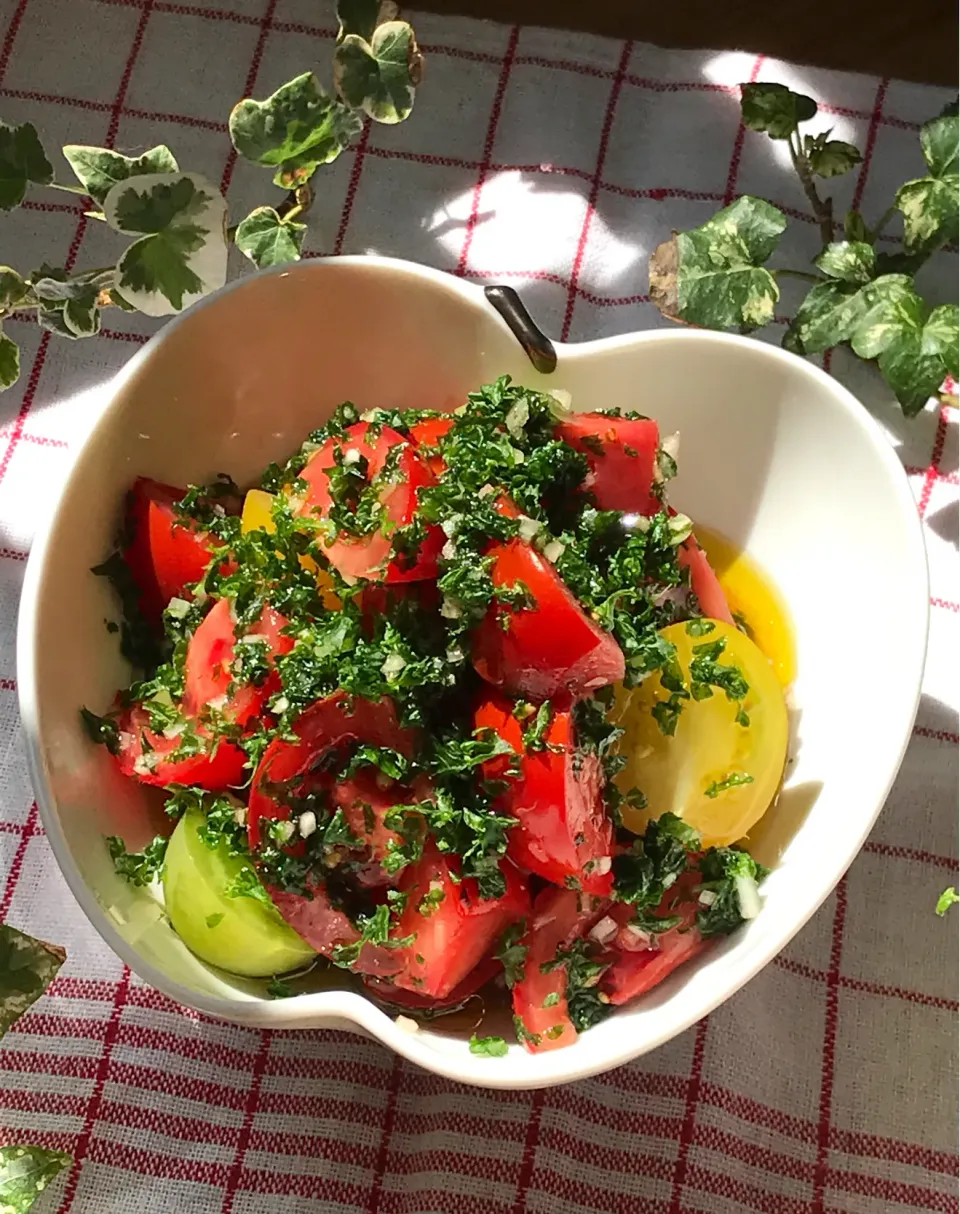 🍅赤と緑のせめぎ合い❗️色の力を目にも口にも。色々な種類のトマト🍅のパセリまみれサラダ🥗|Hollyさん