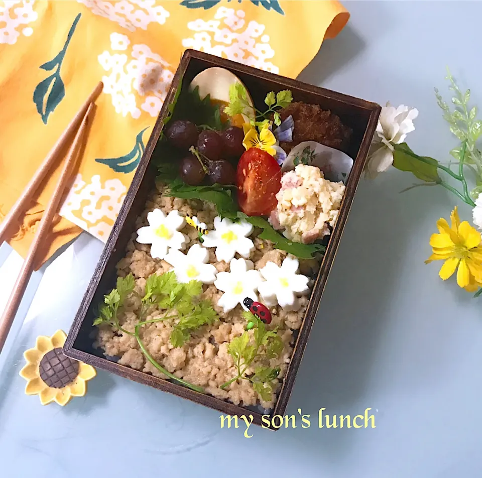 Snapdishの料理写真:鶏そぼろ丼弁当|kotokotoさん