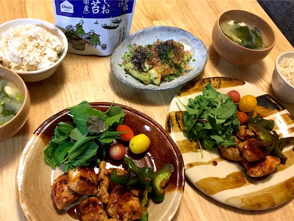 昨日の晩ゴハン❤︎タンドリーチキン、焼きなす、お豆腐とワカメのお味噌汁、胚芽米ごはん🍚、海苔✰(◍ ⚈᷀᷁ڡ⚈᷀᷁  ◍)✰|さくたえさん