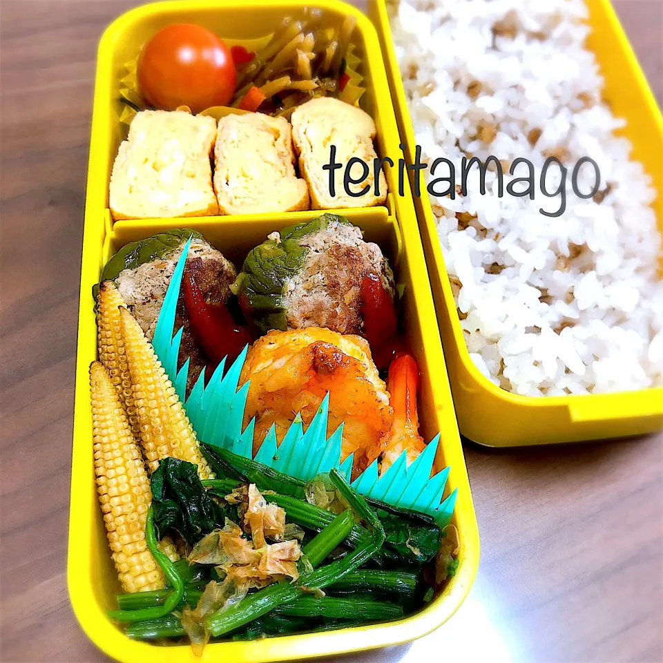 お弁当|teritamagoさん