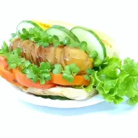 Hot Dog Salad Microgreen|dannyumbari@gmail.vomさん