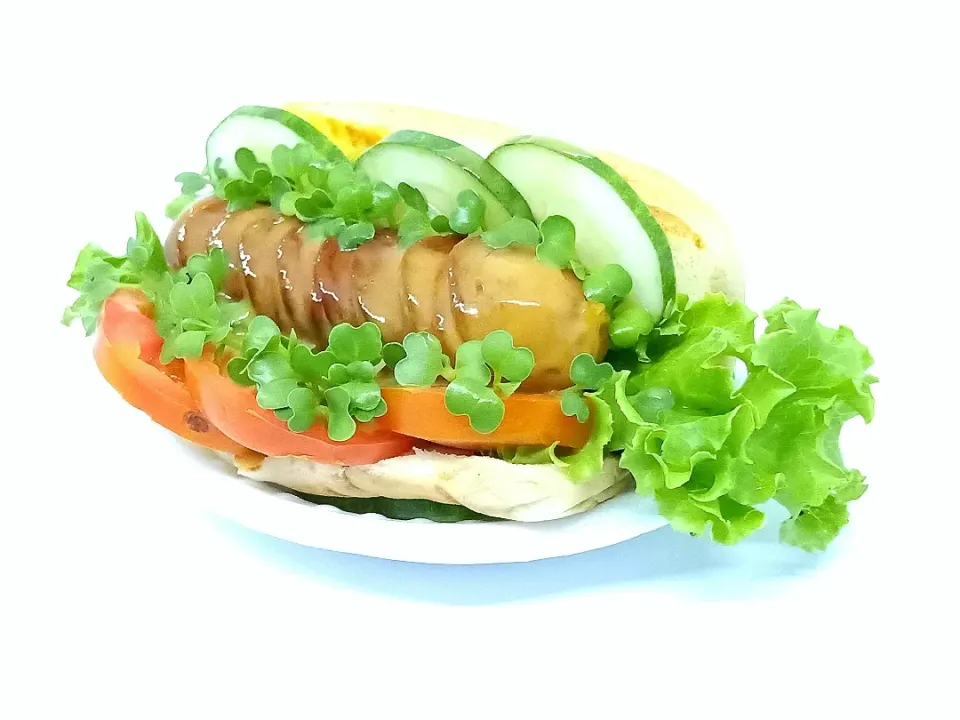 Hot Dog Salad Microgreen|dannyumbari@gmail.vomさん