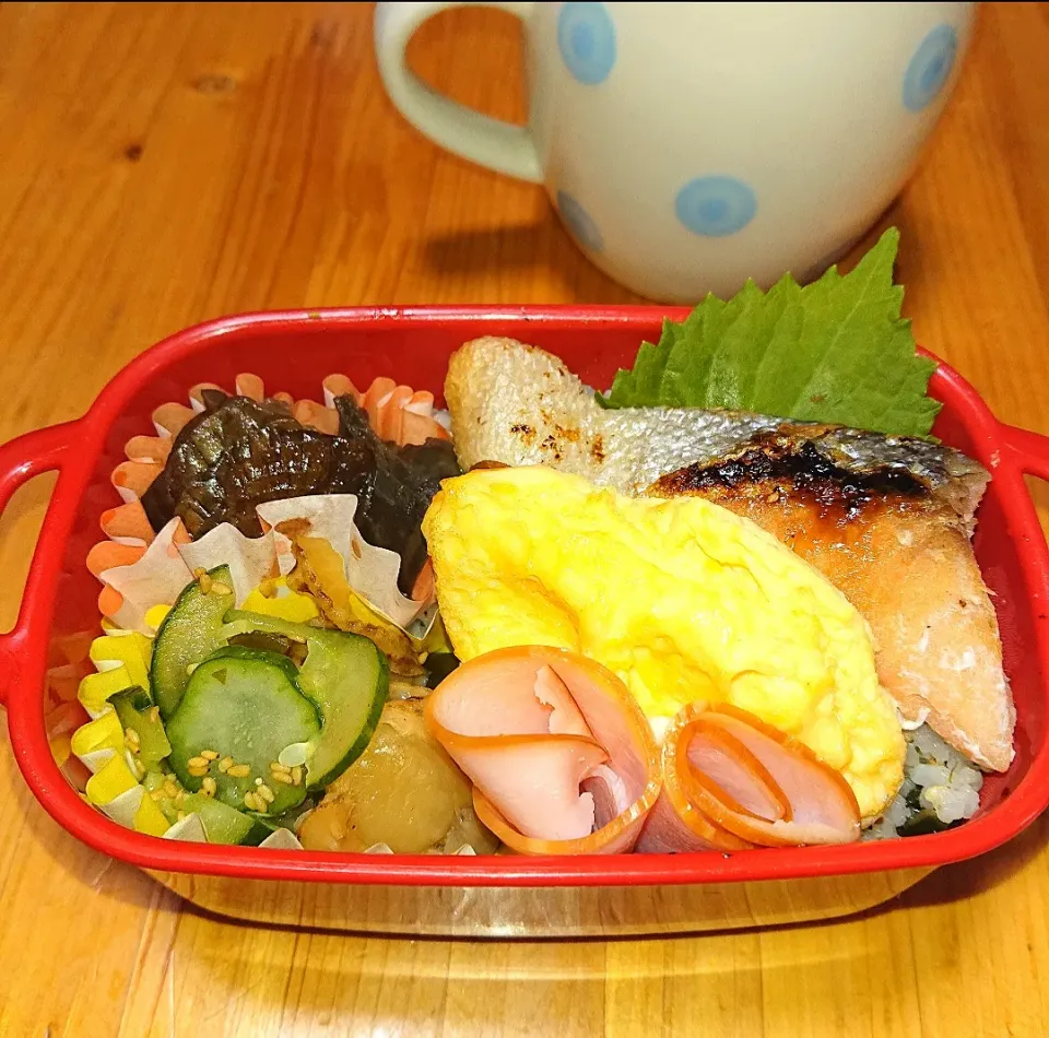 私弁当🍱
  塩鮭
  レンチン卵😃|miimiさん