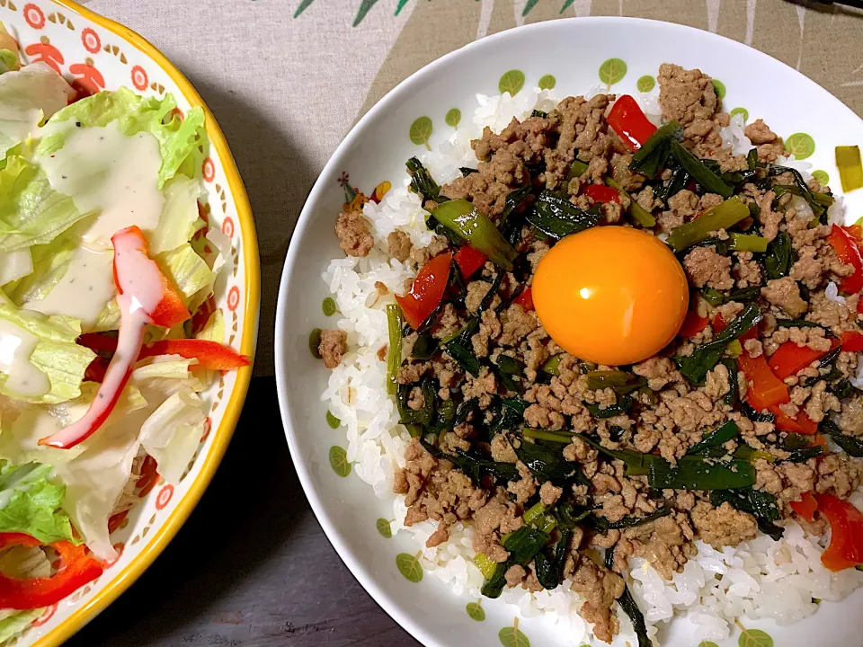 スタミナ丼とサラダ|コハクさん