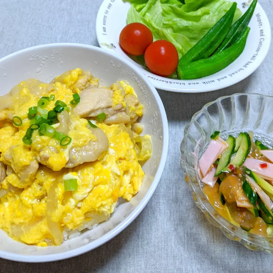 2020/07/23　親子丼🍀|ちいたんさん