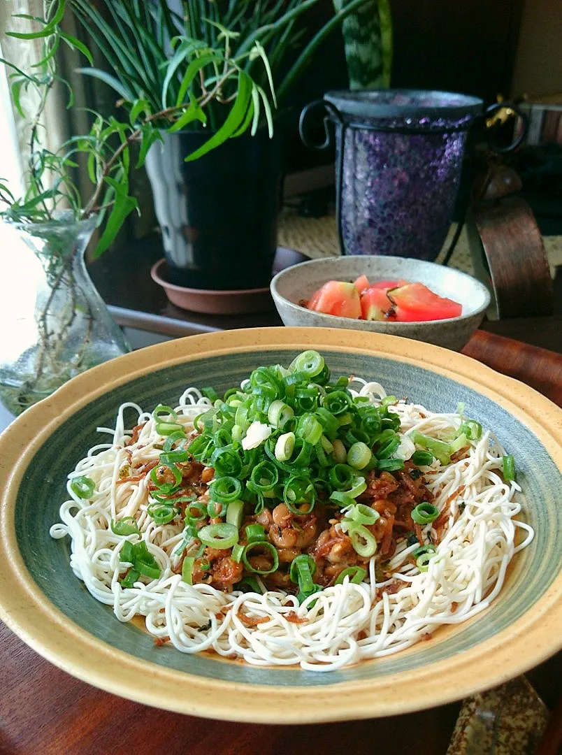 ちりめん山椒納豆そうめん風|まりおさん