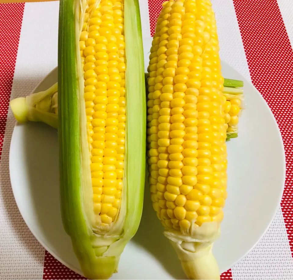 とうもろこし🌽|飛鳥さん