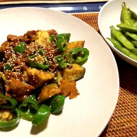 Snapdishの料理写真:サバ味噌缶の夏野菜炒め|Plum treeさん