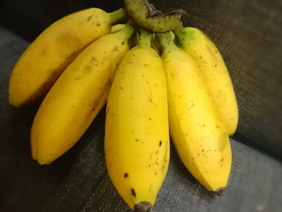 Banana... Tomorrow it can be eaten with puttu for breakfast.. or cekodok pisang.. or banana cake with or without chocolate chips... if lazy eat just as banana..|banupoovanさん