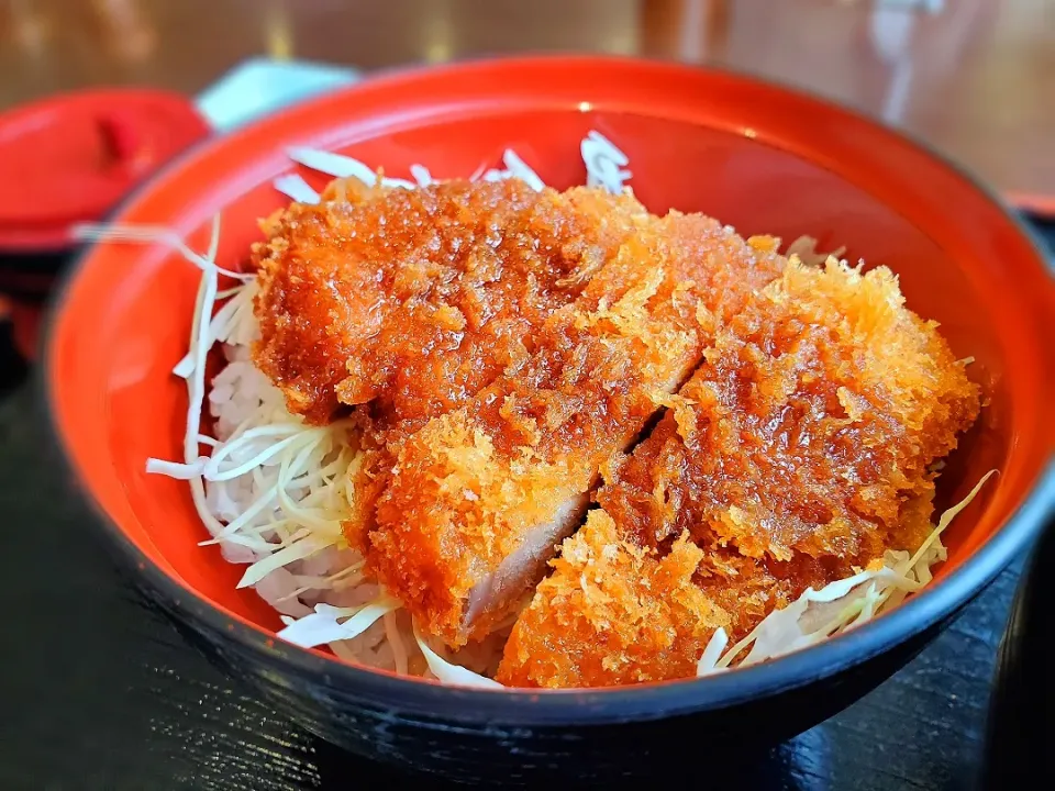 ソースカツ丼|モコさん