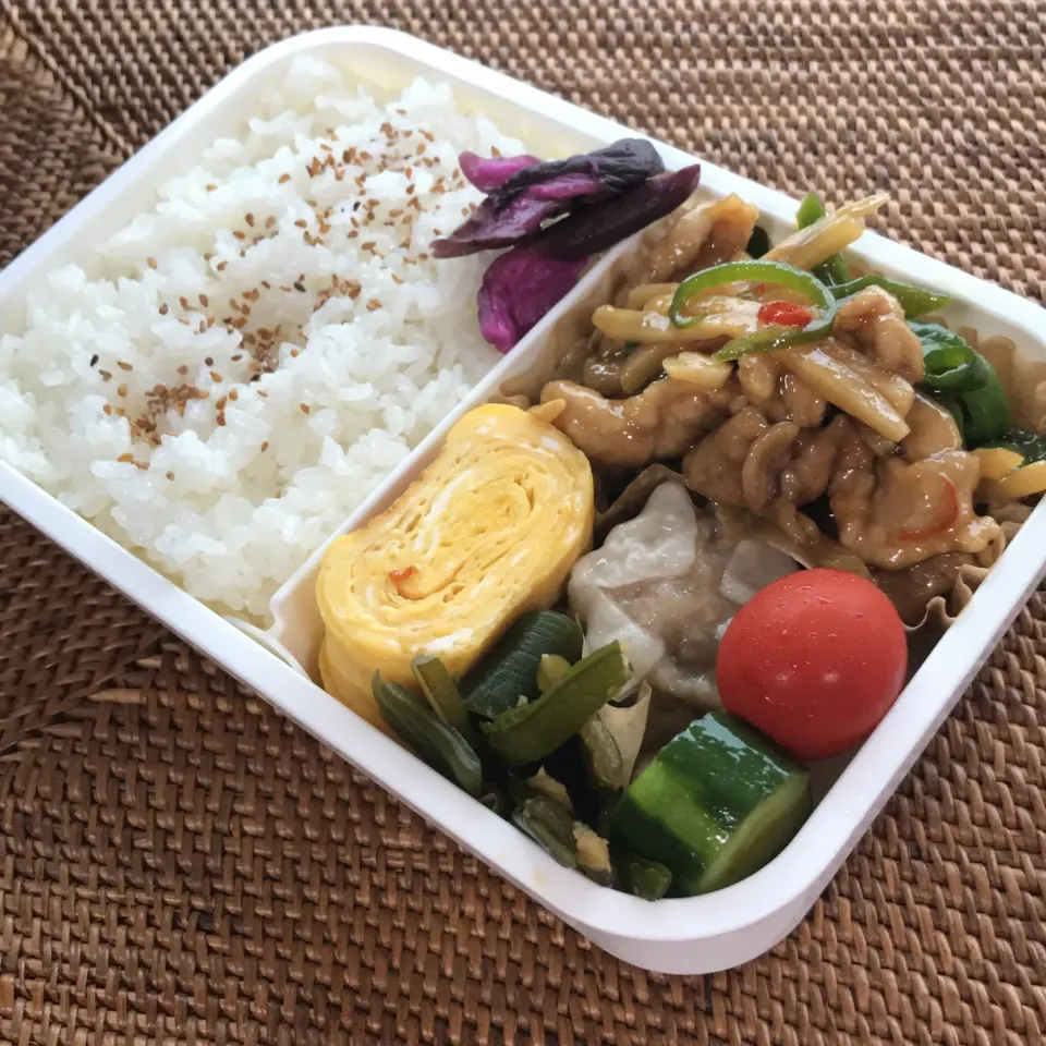 Snapdishの料理写真:おじさん弁当🍱　☆ Jul.29.2020 ☆|ニャン太郎さん