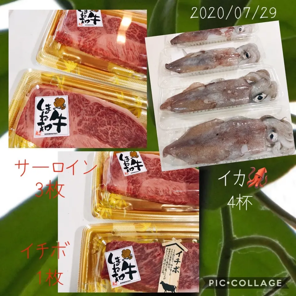 #肉の日🍖#島根和牛#サーロイン#イチボ#浜田港のイカ|みすてりあすゆっこさん