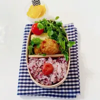 Snapdishの料理写真:肉団子のお弁当|Mikaさん