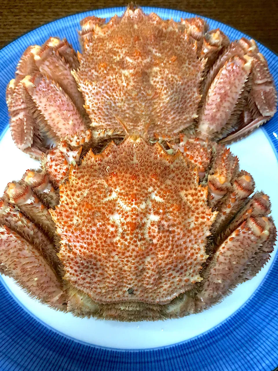 毛蟹🦀|kudoさん