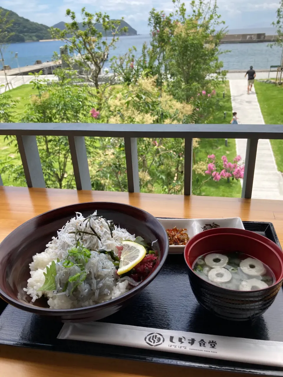 Snapdishの料理写真:しらす丼|じゅん🎶さん