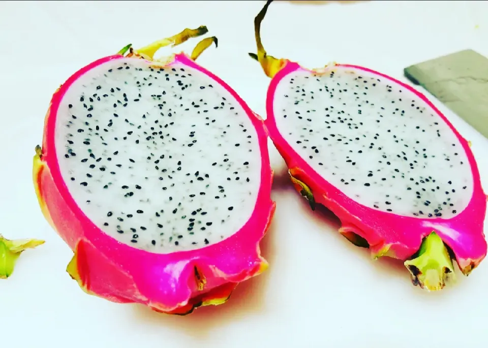 dragon fruit|Tonyさん