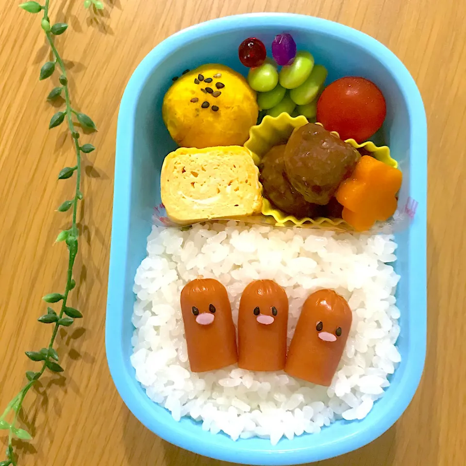 ディグダ弁当|ぽにょ☆さん