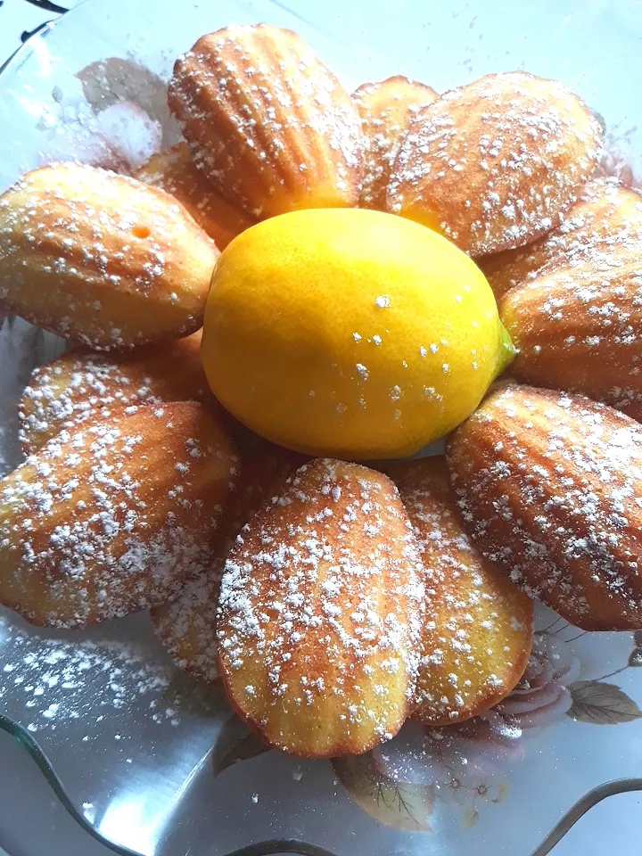 Lemon Madelines|K8TCRE8TZさん