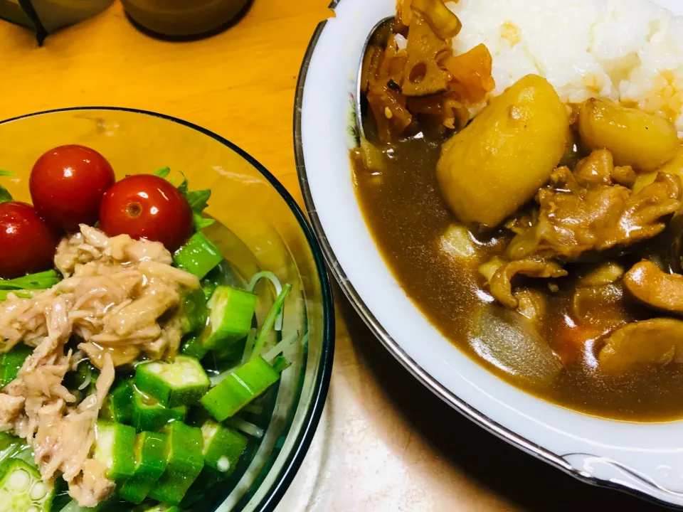 カレーと水菜オクラサラダ|かげぞさん