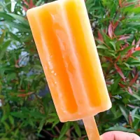 orange popsicle 🍊|oppieさん