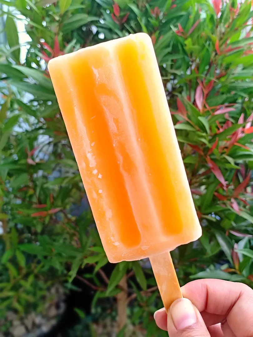 orange popsicle 🍊|oppieさん