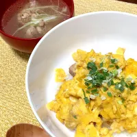 プロフェッショナルでやってた親子丼&スープ|ゆうさん