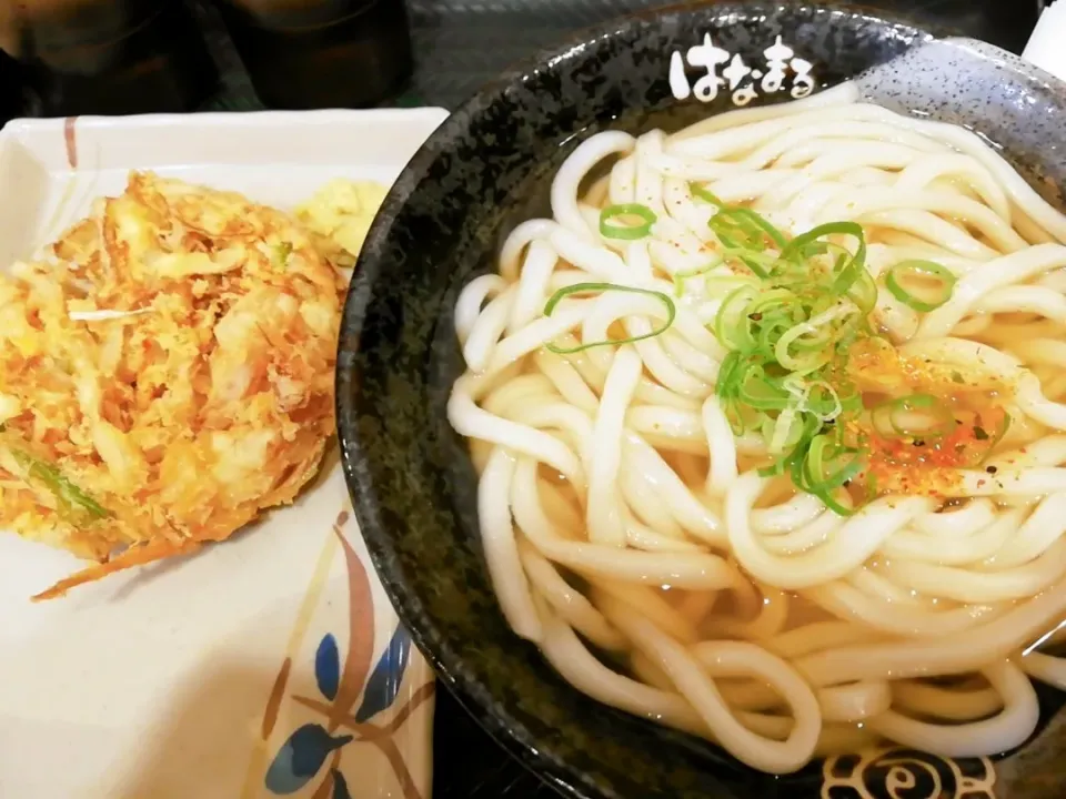 うどん|ますおさん