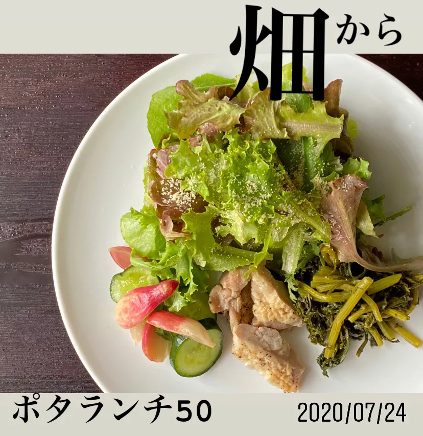 昼ごはん☀️☀️☀️断酒470日目|ぽんたさん