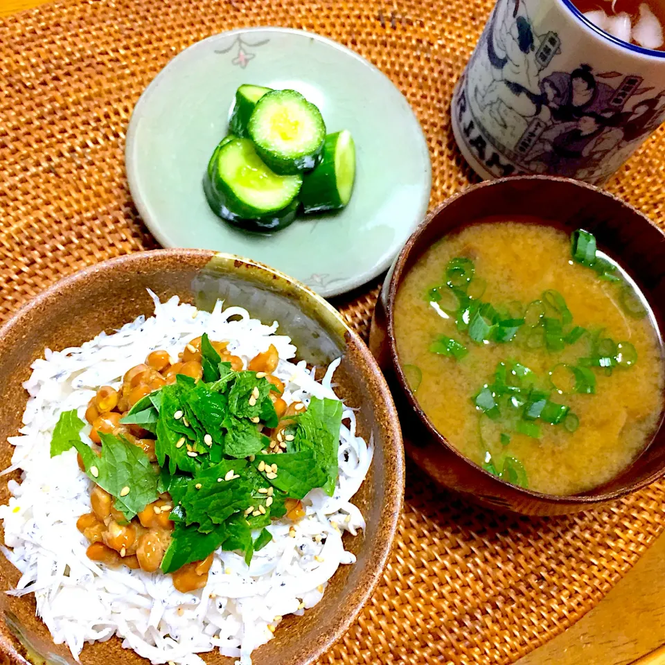 納豆しらす丼|トッチーさん