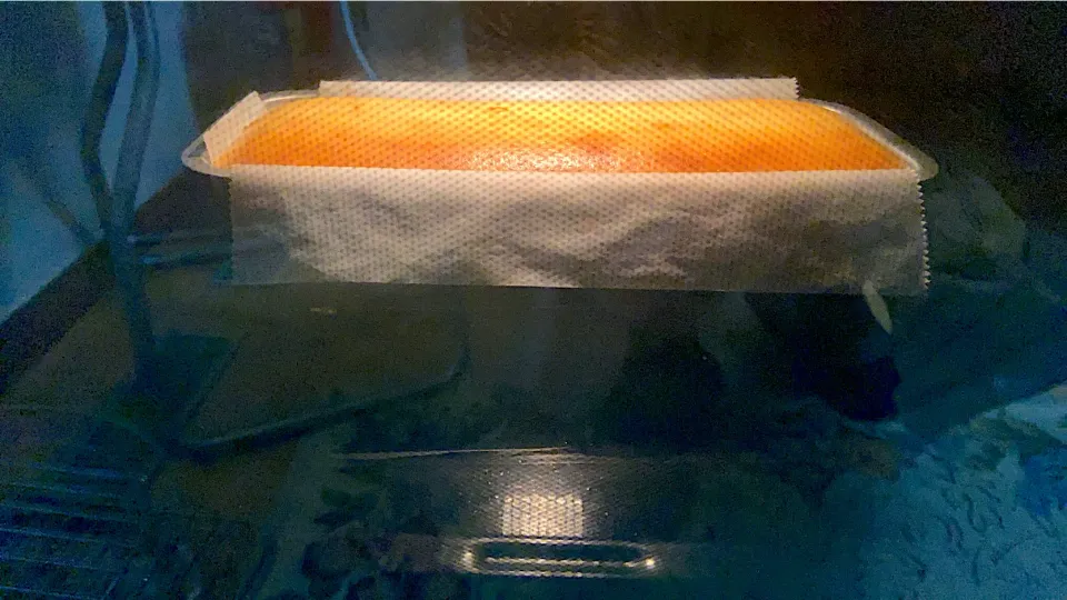 ミスターチーズケーキ✨|てんてんさん