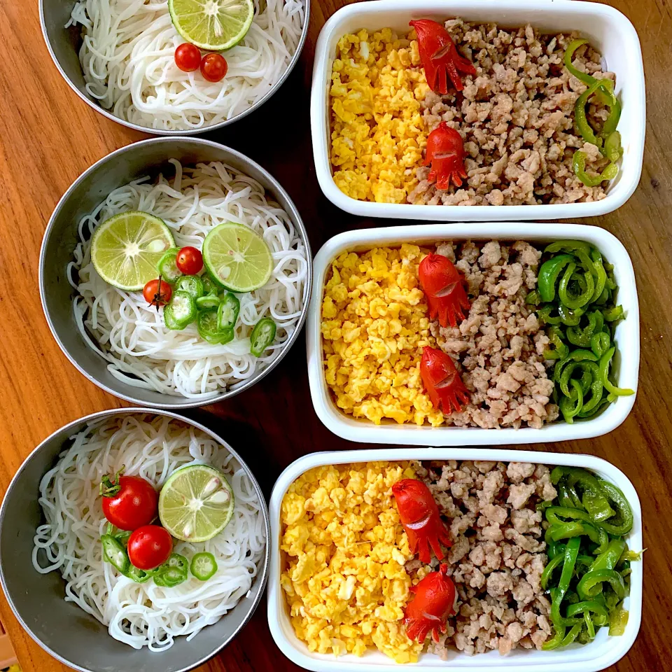 今日も素麺です！後そぼろ弁当|さえちゃんさん