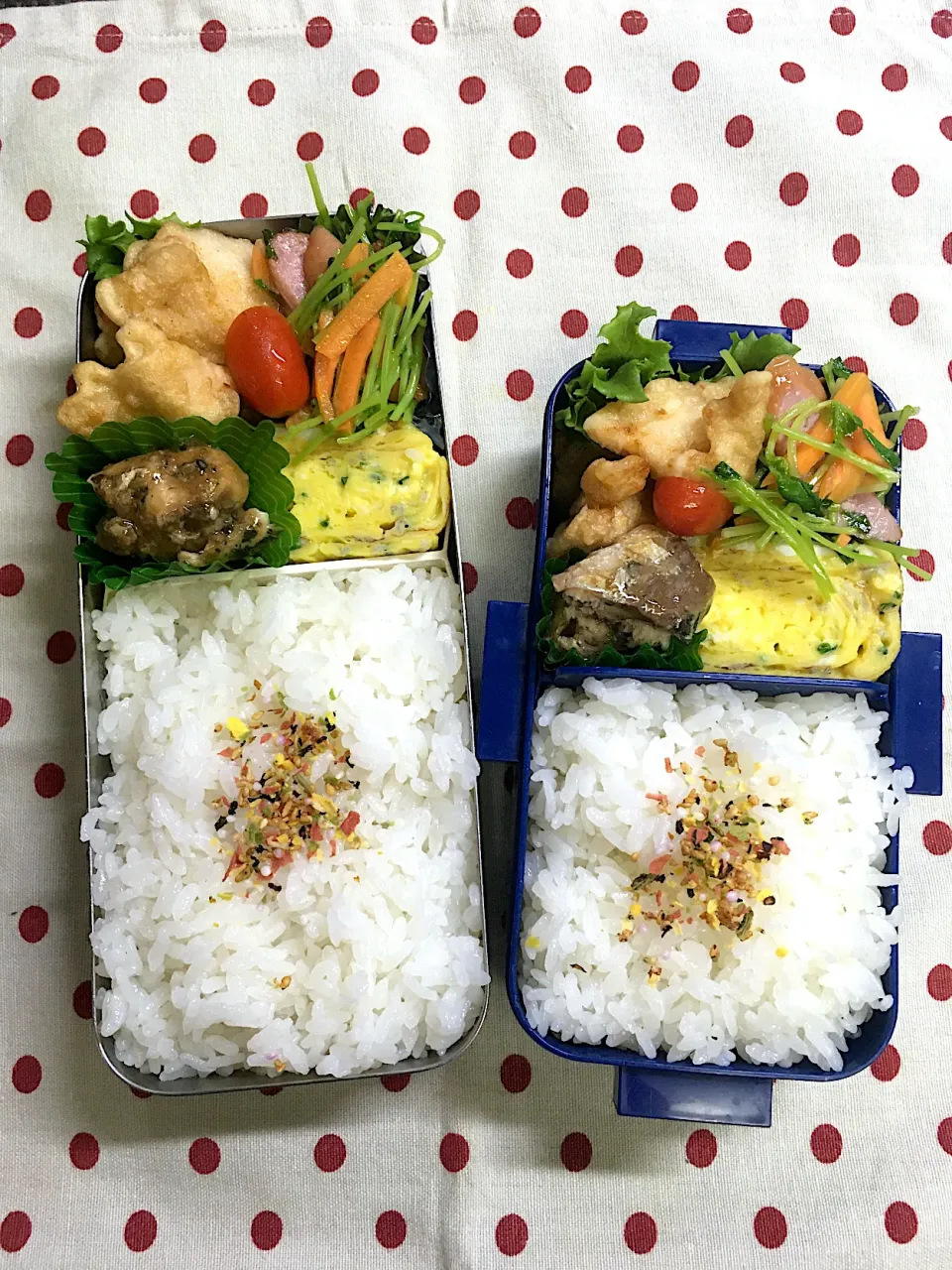 Snapdishの料理写真:8月4日　栄養の日弁当🍱|sakuramochiさん