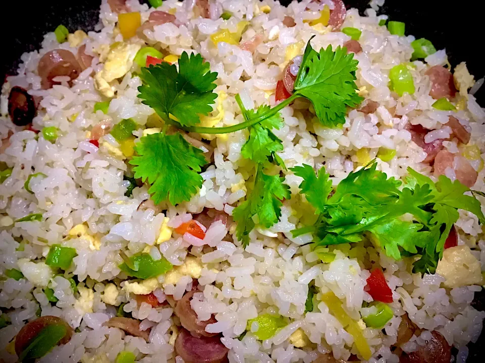 FIVE COLORS FRIED RICE|Tan Phatさん