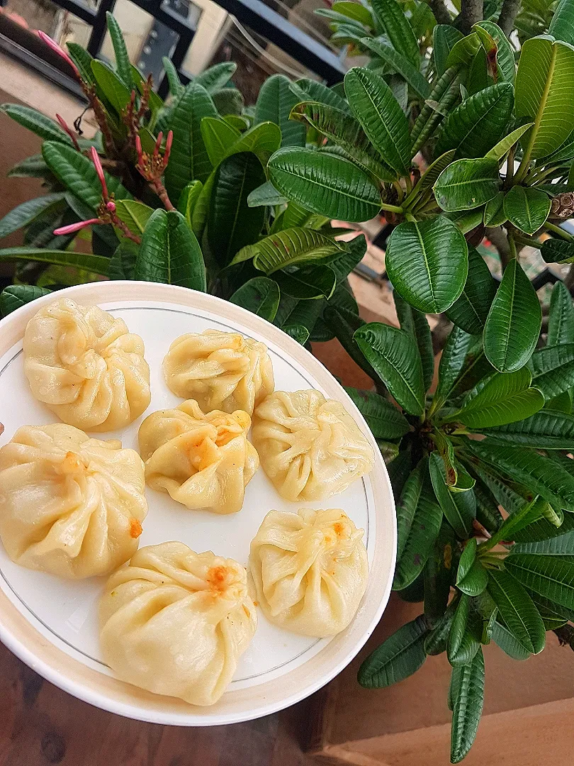 veg momos|princikaさん