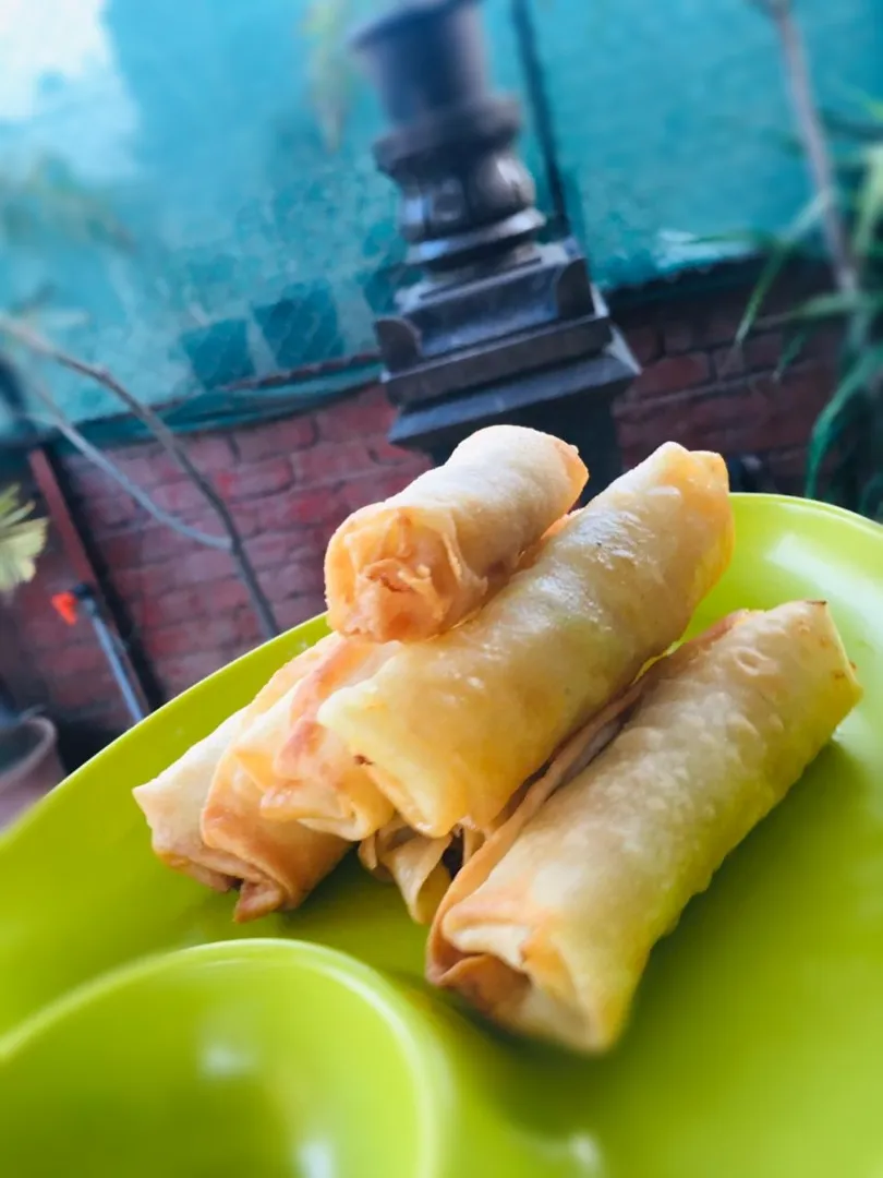 veg health spring rolls|princikaさん